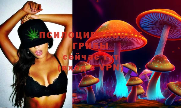 шишки Алексин