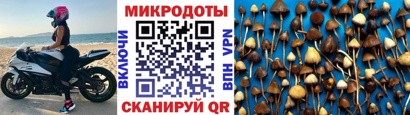 как найти Бакал Галлюциногенные грибы ЛСД